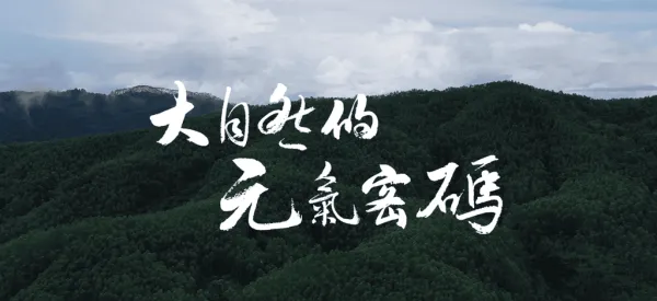 《锐舞驱蚊手环 产品宣传片》