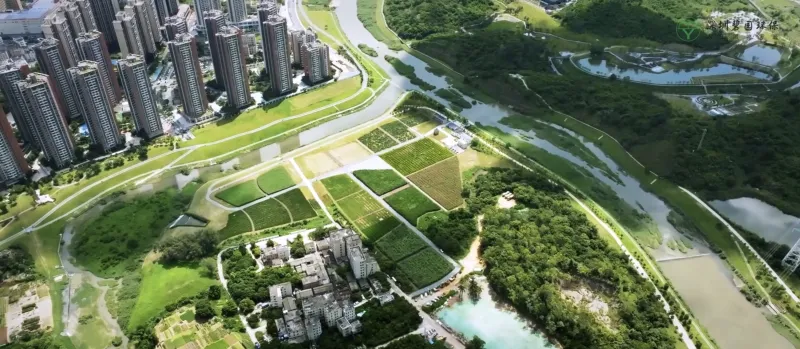 企业宣传片 | 碧园环保 |  污水处理