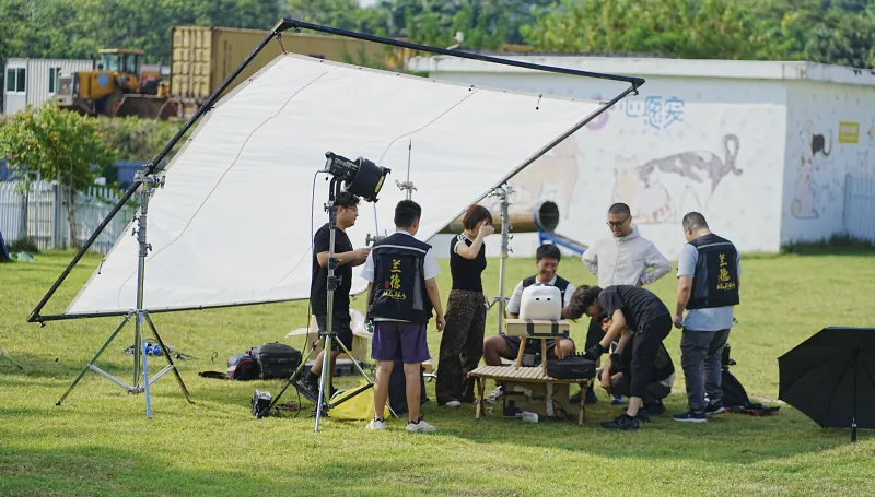 产品出海 |海外产品众筹 | indiegogo众筹  |  宠物护理 