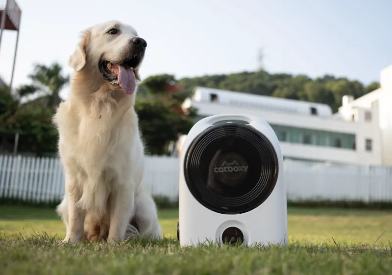 产品出海 |海外产品众筹 | indiegogo众筹  |  宠物护理 