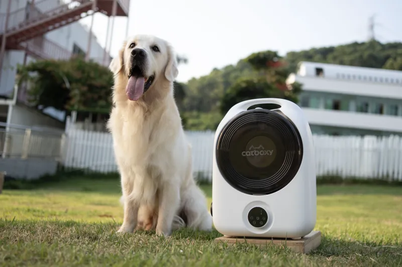 产品出海 |海外产品众筹 | indiegogo众筹  |  宠物护理 