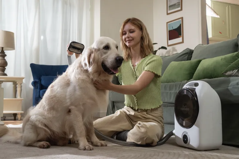 产品出海 |海外产品众筹 | indiegogo众筹  |  宠物护理 