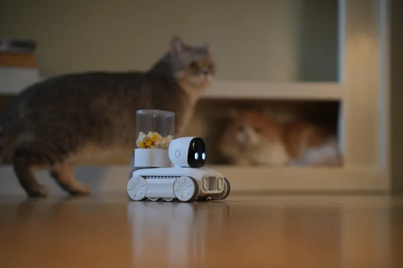 产品众筹宣传片 | 产品出海 | 智能逗宠 | 萌宠 | TVC