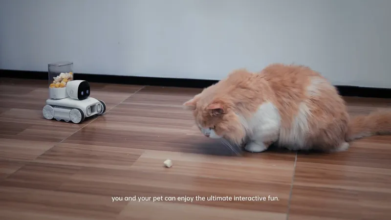 产品众筹宣传片 | 产品出海 | 智能逗宠 | 萌宠 | TVC