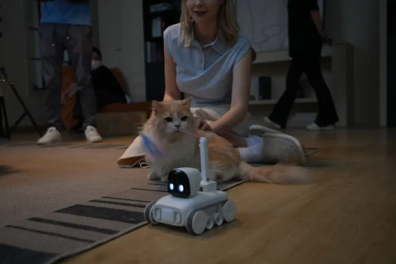 产品众筹宣传片 | 产品出海 | 智能逗宠 | 萌宠 | TVC