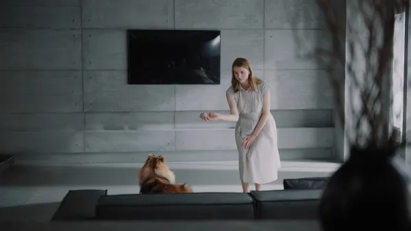 vacuison出海广告 | 海外吸尘器广告 | 扫地机海外广告