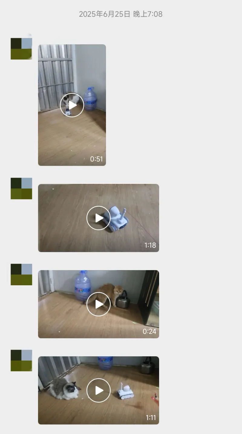 当科技遇见温暖 | 一只猫与一台机器人如何诠释现代陪伴