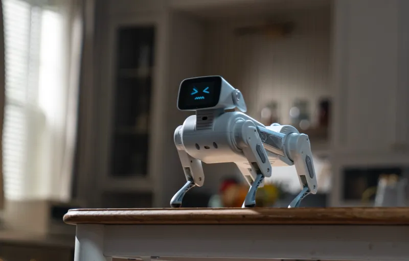 四足陪伴机械狗 | 出海众筹TVC | kickstarter众筹