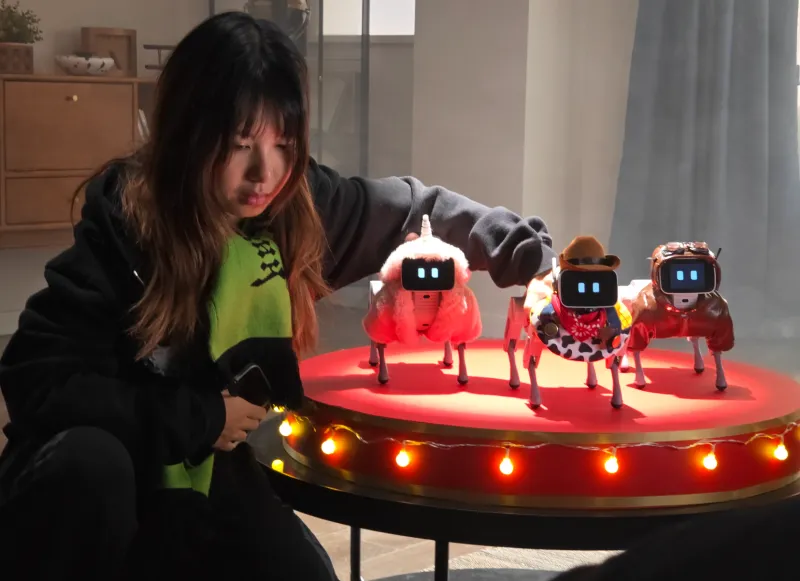 四足陪伴机械狗 | 出海众筹TVC | kickstarter众筹