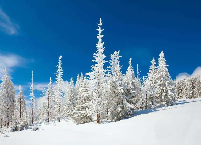 深圳影视公司：雪景的拍摄技巧